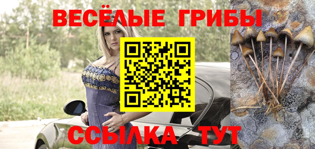 Славянск-на-Кубани  Псилоцибиновые грибы мухоморы  Вход с VPN 